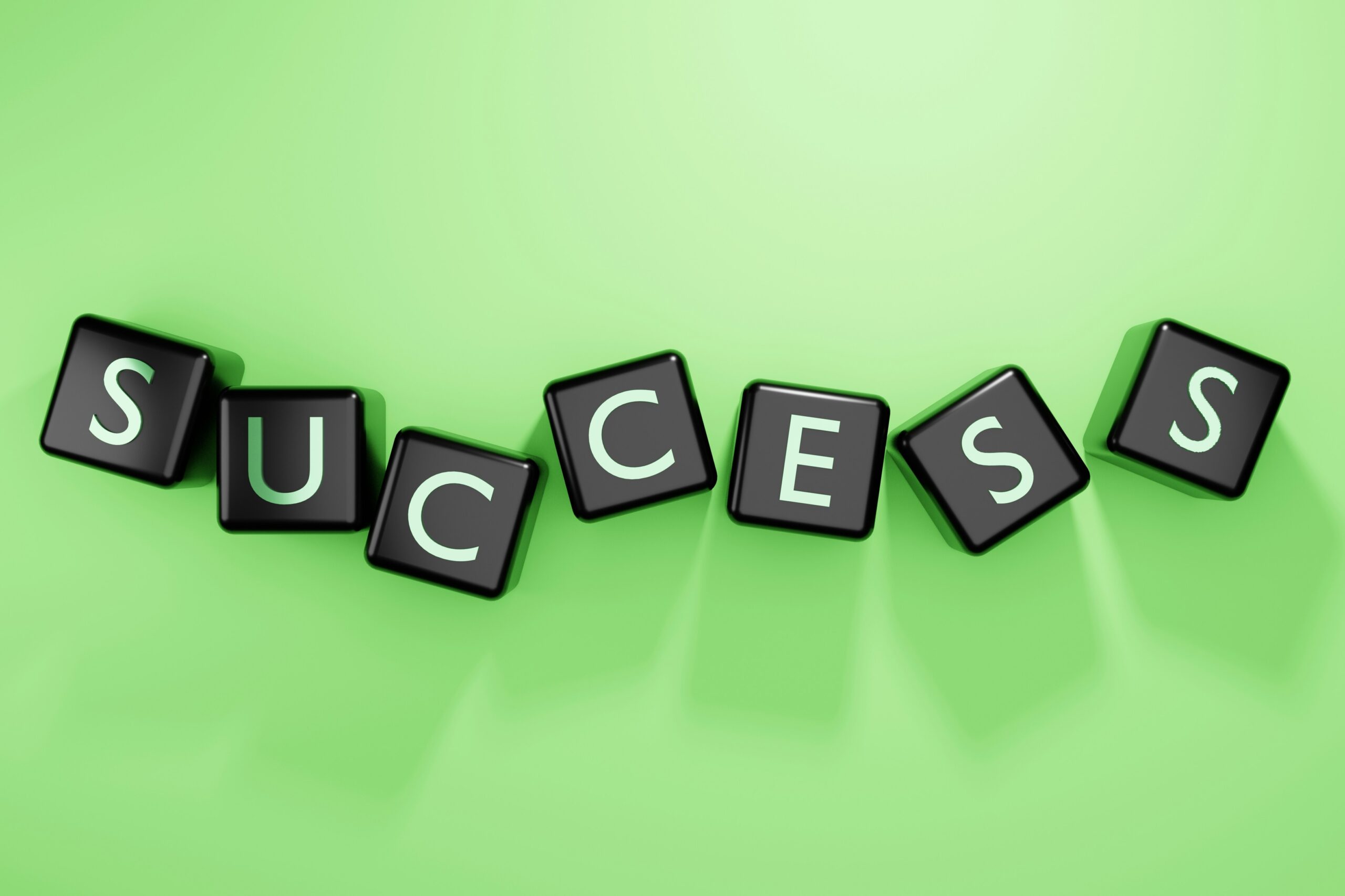 The Versatile Lives of Successful Leaders How Virtue Builds Real Influence